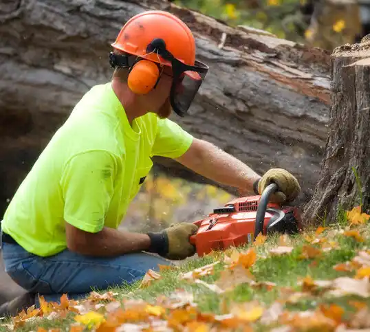 tree services Flordell Hills